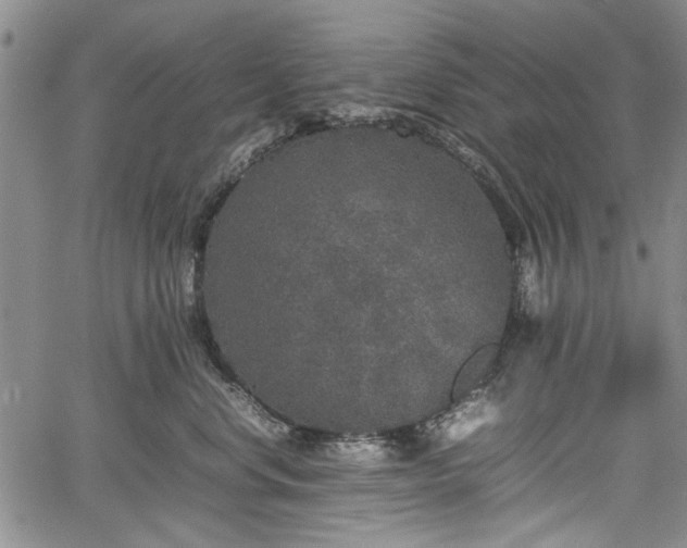 X0000067500668200604101232