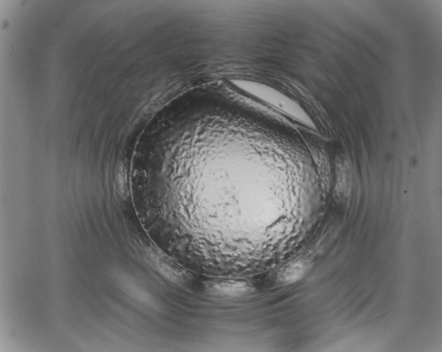 X0000067500669200604101232