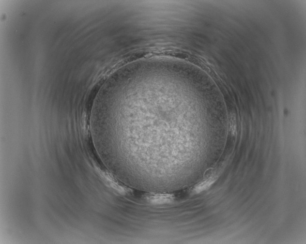 X0000067500670200604101232