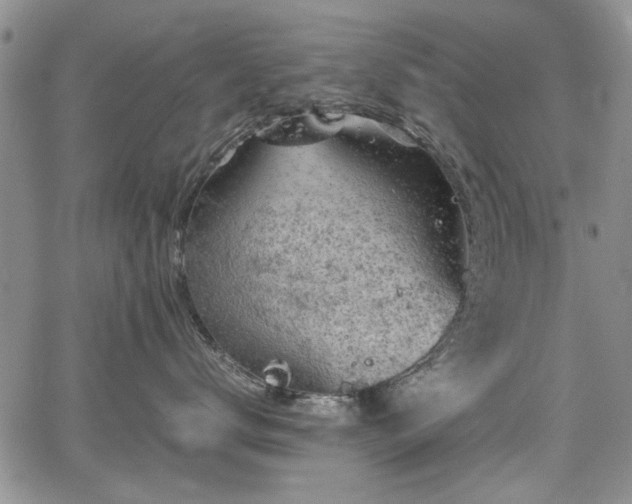 X0000067500672200604101232