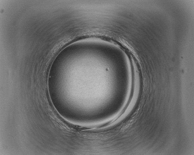 X0000067500673200604101231