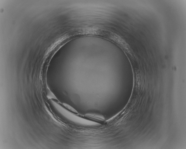 X0000067500674200604101231