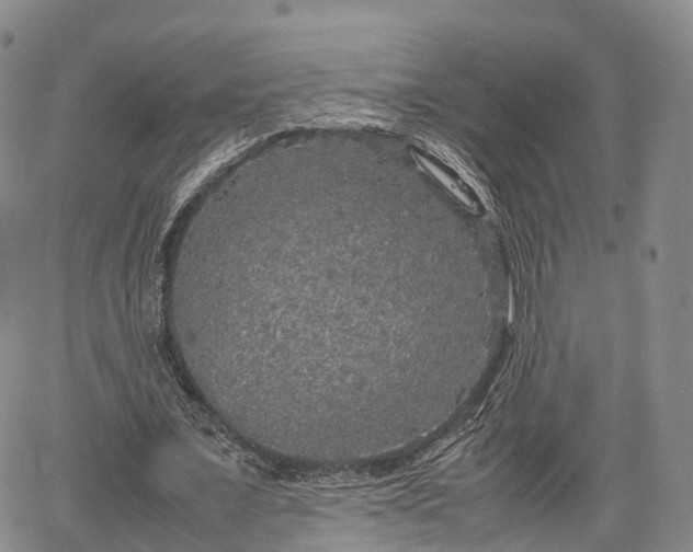 X0000067500675200604101231