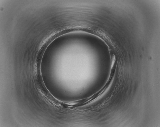 X0000067500676200604101231