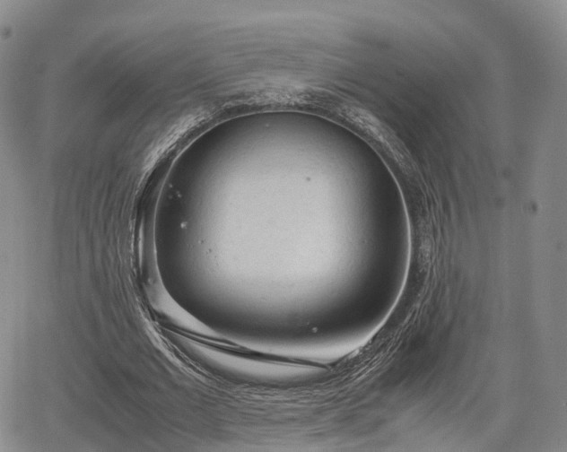 X0000067500677200604101231