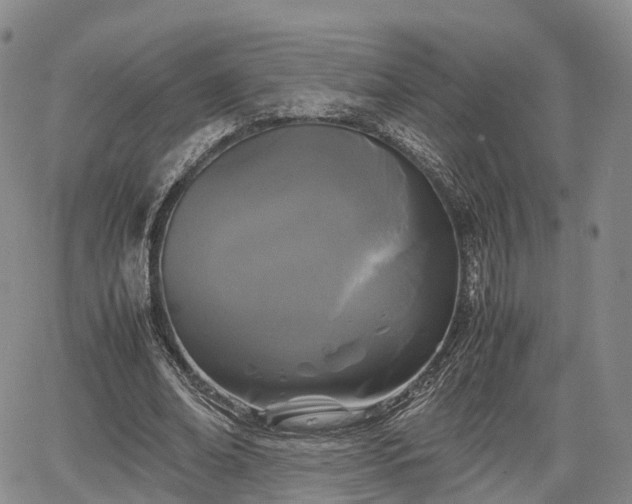 X0000067500678200604101231