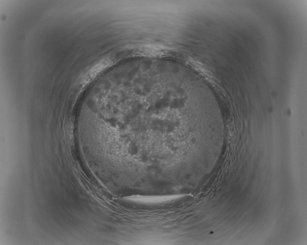 X0000067500679200604101231