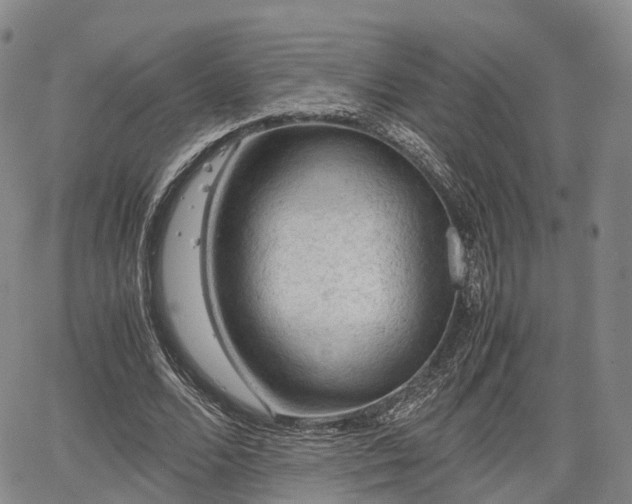 X0000067500680200604101231