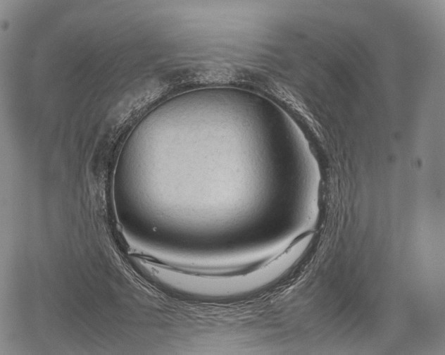 X0000067500681200604101231