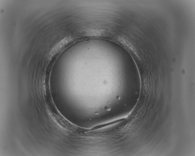 X0000067500682200604101231