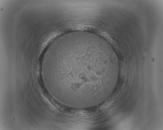 X0000067500683200604101231