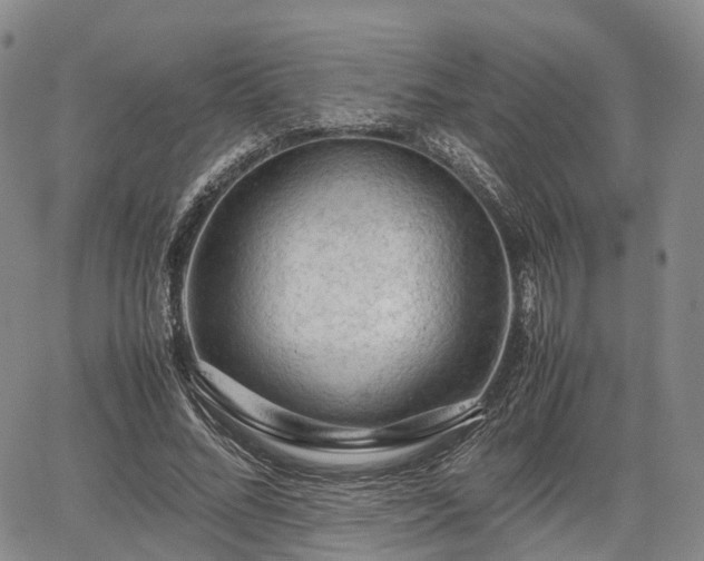 X0000067500684200604101231