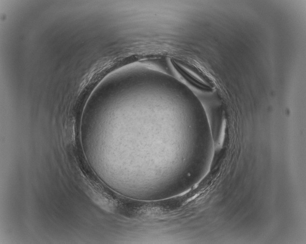 X0000067500685200604101231