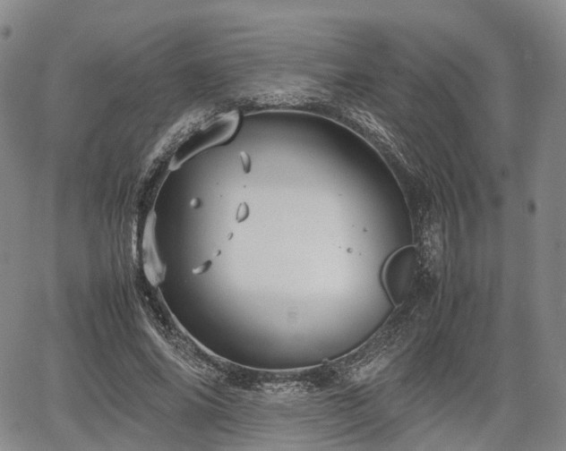 X0000067500686200604101231