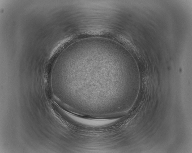 X0000067500688200604101231