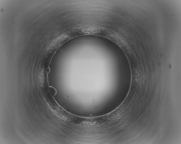 X0000067500690200604101231