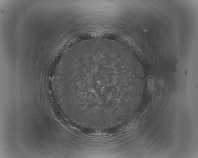 X0000067500691200604101231