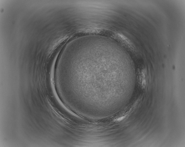 X0000067500692200604101231