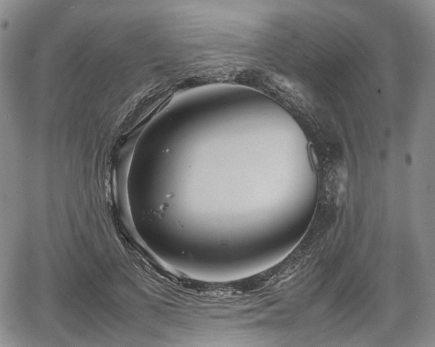 X0000067500693200604101231