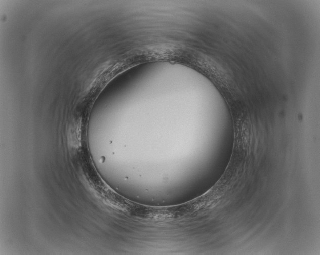 X0000067500694200604101231