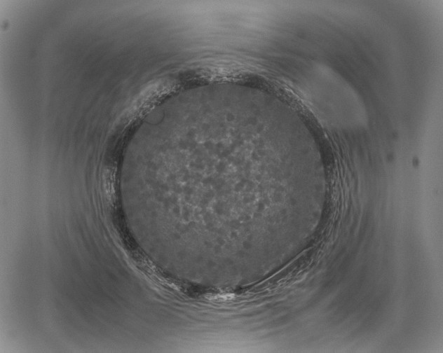 X0000067500695200604101231