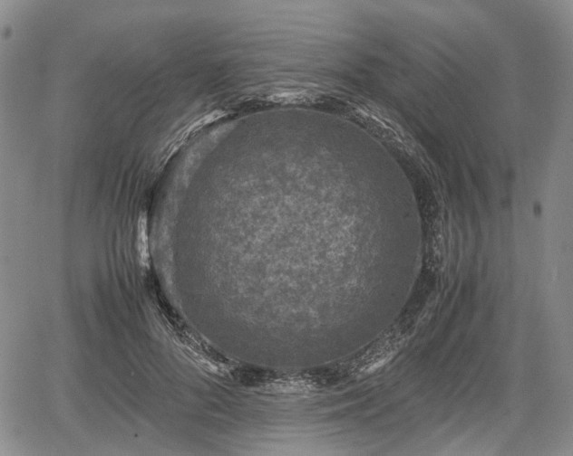 X0000067500696200604101231