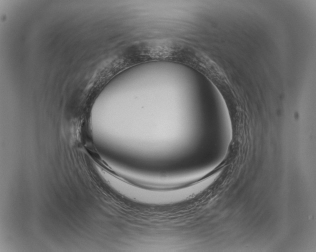 X0000067500697200604101231