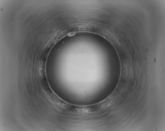 X0000067500698200604101231