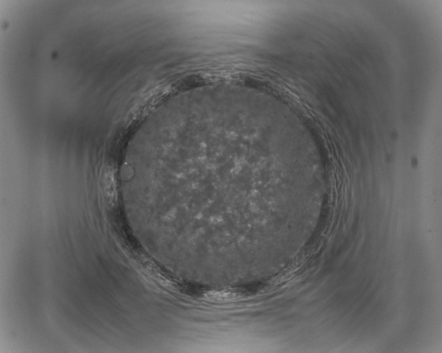 X0000067500699200604101231