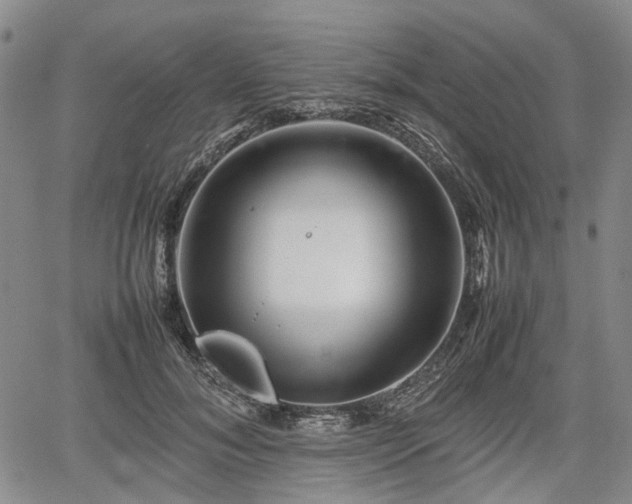 X0000067500700200604101231