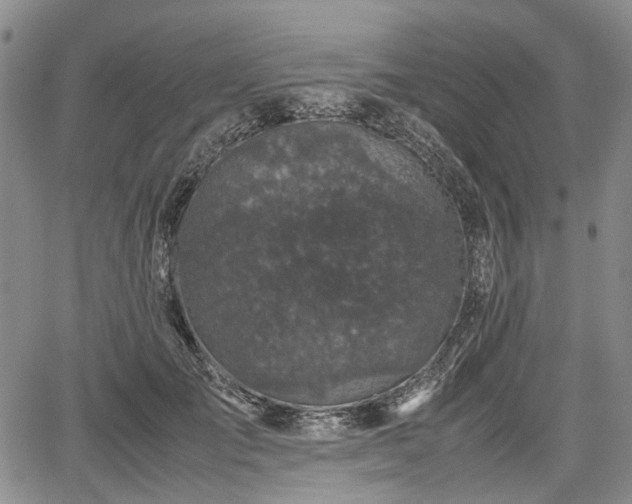 X0000067500701200604101231