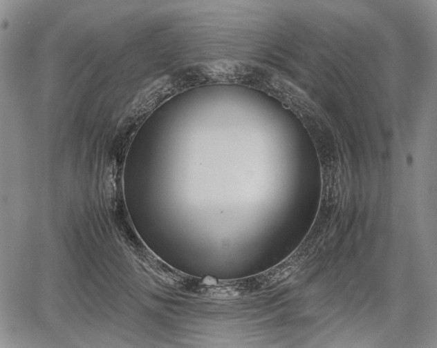 X0000067500702200604101231