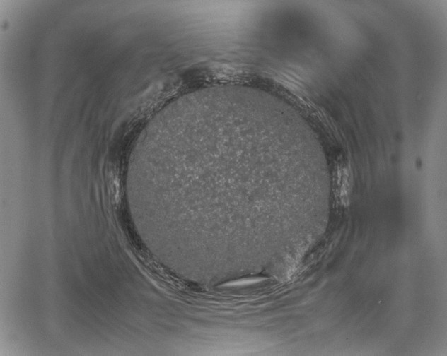 X0000067500703200604101231