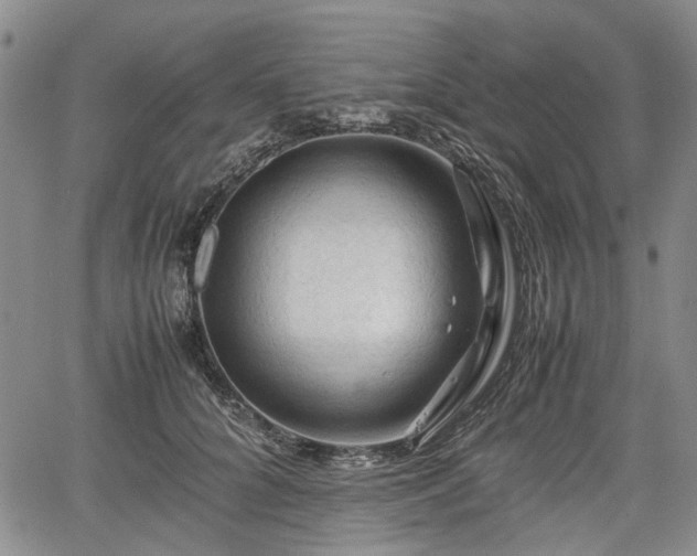 X0000067500704200604101231