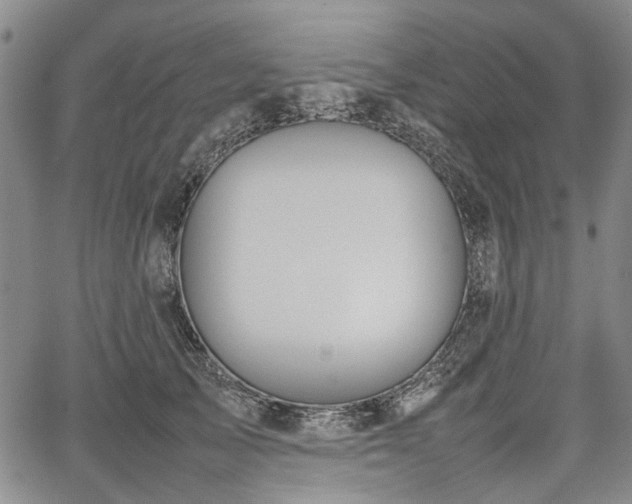 X0000067500705200604101231