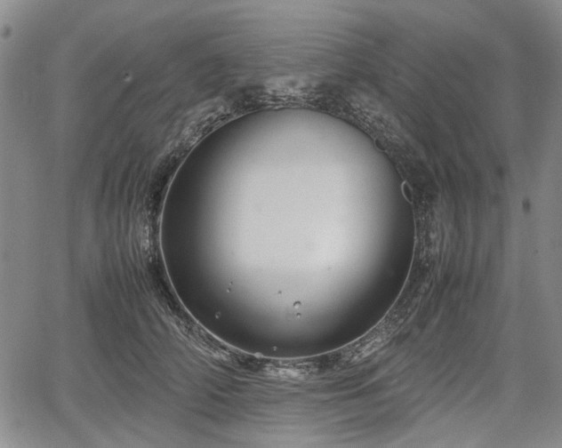 X0000067500706200604101231