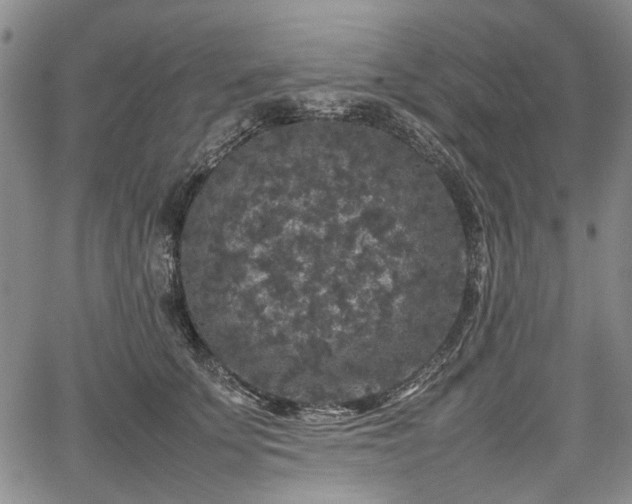 X0000067500707200604101231