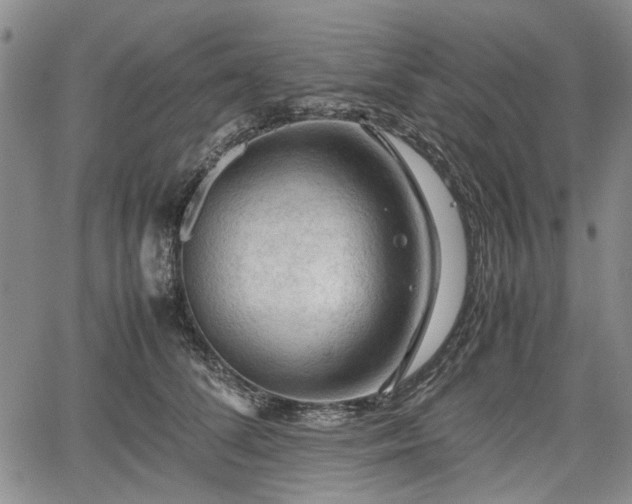 X0000067500708200604101231