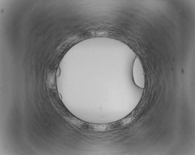 X0000067500709200604101231