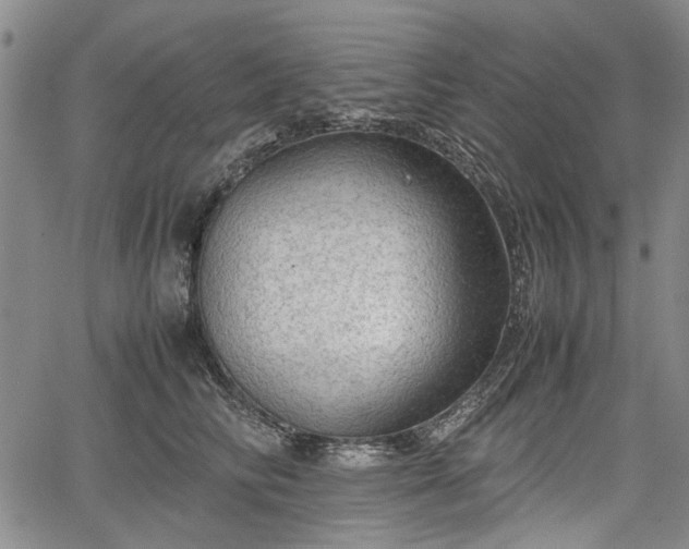 X0000067500710200604101231