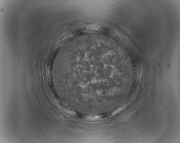 X0000067500711200604101231