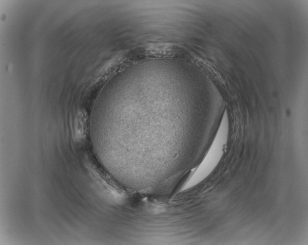 X0000067500712200604101230