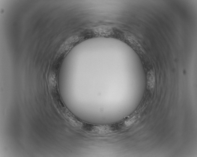 X0000067500713200604101230