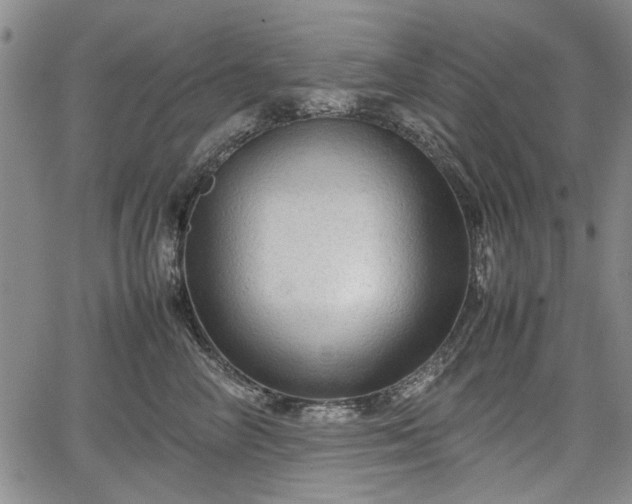 X0000067500714200604101230