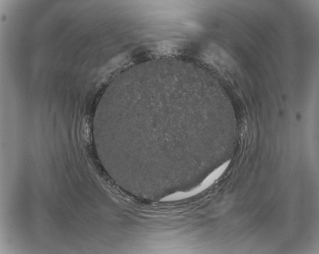 X0000067500715200604101230