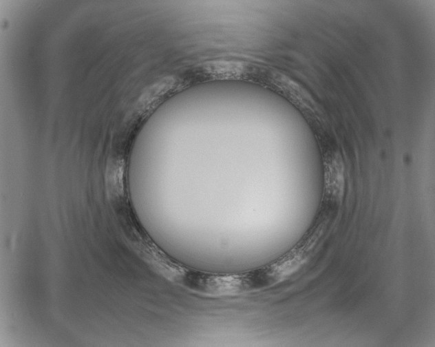 X0000067500717200604101230