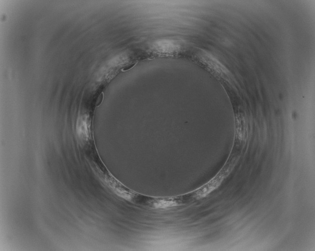 X0000067500718200604101230