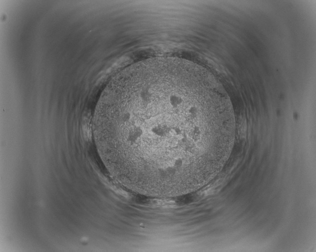 X0000067500719200604101230