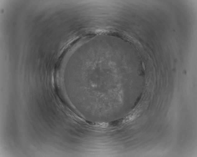 X0000067500720200604101230