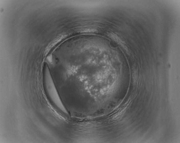 X0000067500721200604101230